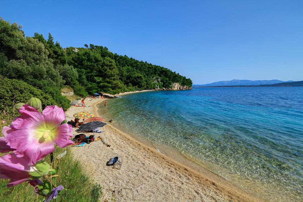 Holiday House Zorra Zivogosce Bilik gambar