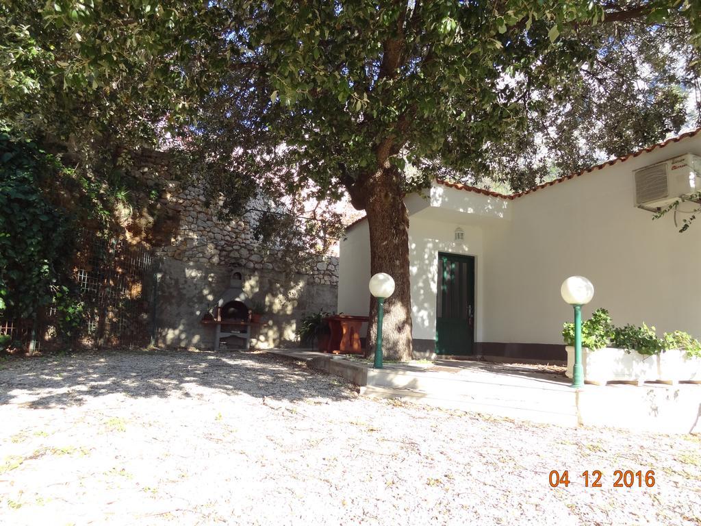 Holiday House Zorra Zivogosce Luaran gambar