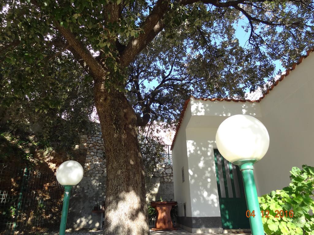 Holiday House Zorra Zivogosce Luaran gambar