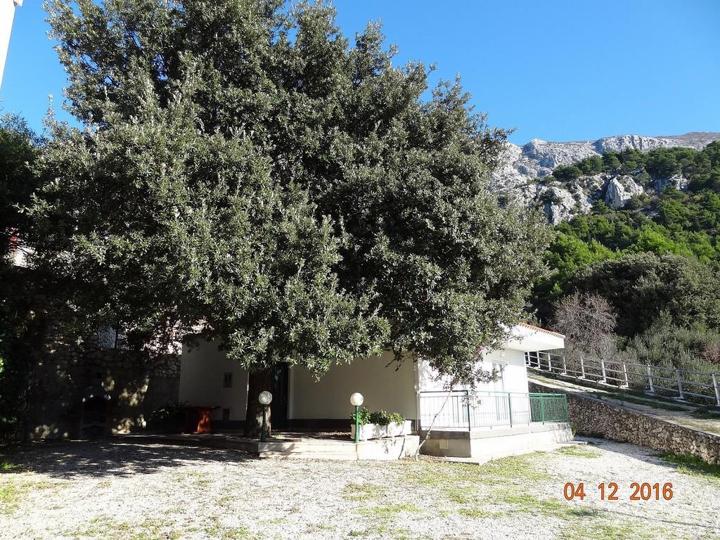 Holiday House Zorra Zivogosce Luaran gambar